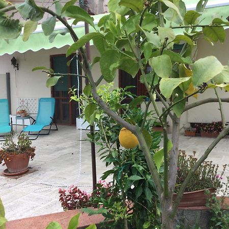 Oplontis' Garden - Holiday Apartment Near Pompeii ตอร์เร อันนุนซิอาตา ภายนอก รูปภาพ
